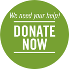 SCAN FOUNDATION